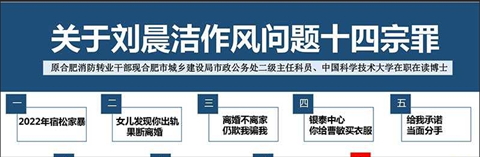 关于刘晨洁作风问题十四宗罪 完整版 53 页 PPT 来了 第2张